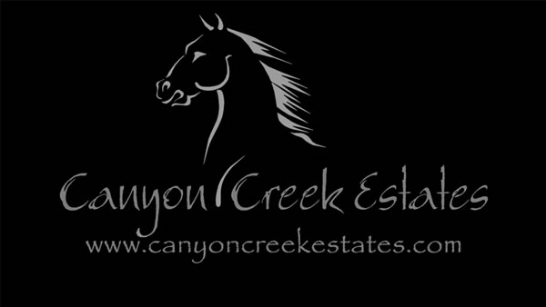 Canyon Creek Estates, Elevation Droneworks